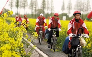 文化和旅游部出台系列措施保障老年人文化和旅游服务